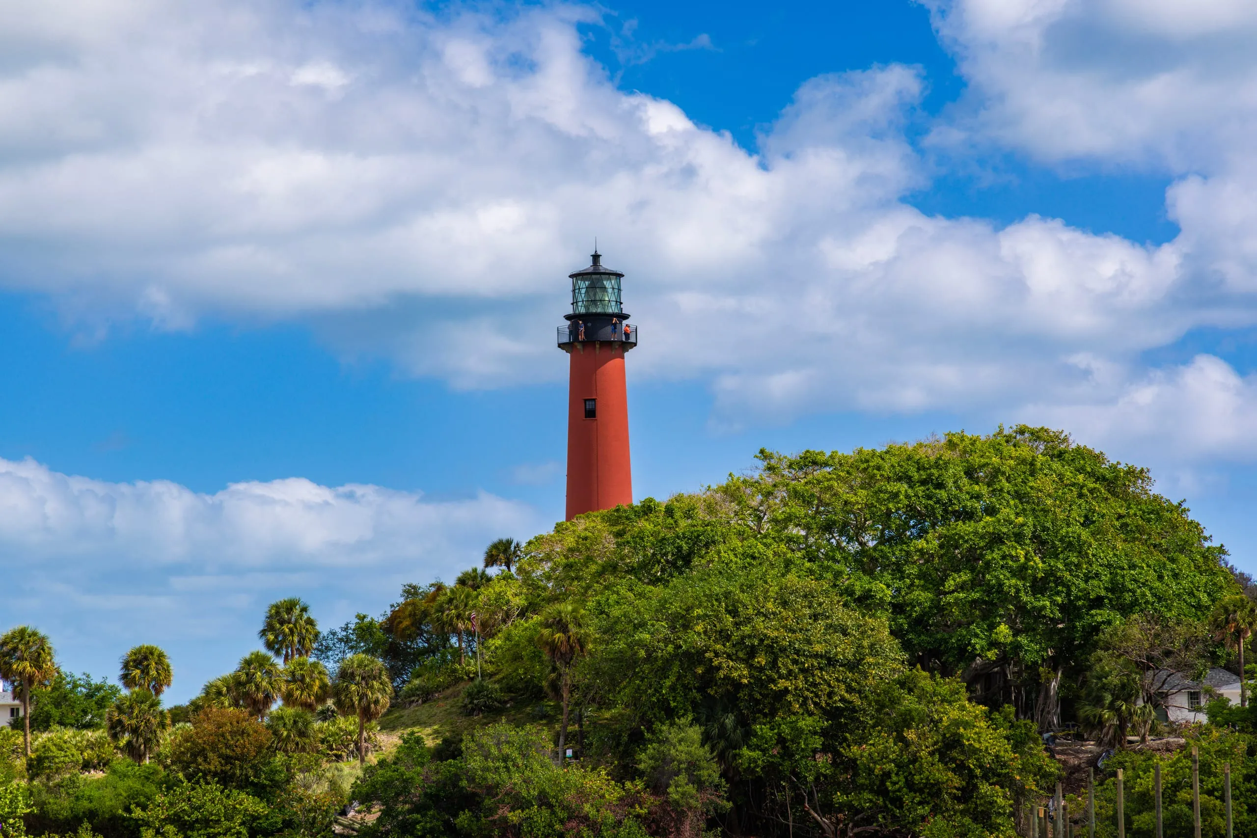 The Jupiter Inlet Lighthouse standing above the treeline in Jupiter, Florida